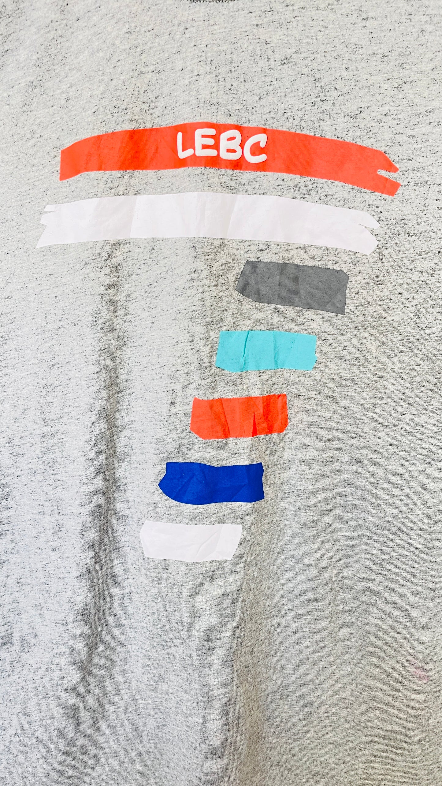 Women’s Grey Graphic Print T-Shirt